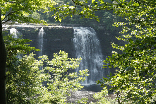Exploring the Natural Wonders: A Day Trip to Salmon River Falls and Fish Hatchery in Pulaski, New York