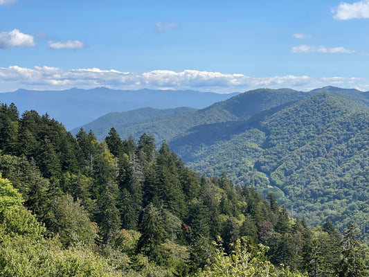 A Cozy Cabin Smoky (or is it Smokey) Mountain Weekend Getaway in Sevierville Tennessee
