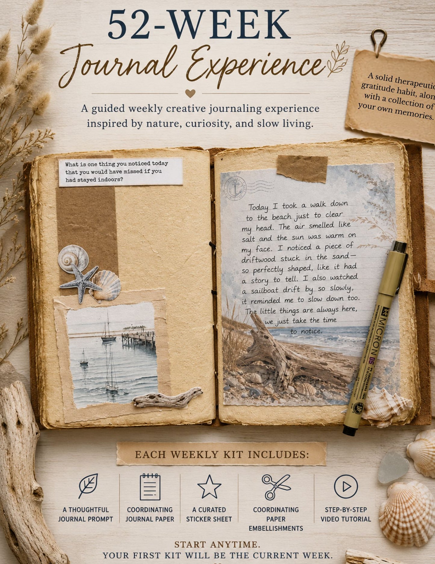 Week 3 of the 52 Week Journal Experience | Notice & Appreciate | Week 3 of 52 • Everyday Kindness