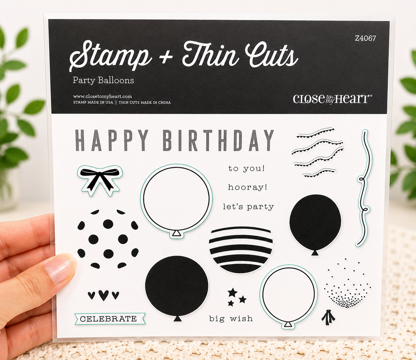 Retired Birthday Stamp & Thin Cuts Close to my Heart Set – NEW - Z4067