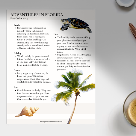 Daytrip-FLORIDA-KNOW BEFORE YOU GO-Airbnb-VRBO-Digital Download Welcome Binder