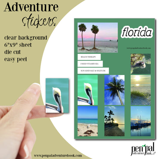 WHOLESALE-Florida Sticker Sheet - Case of 5