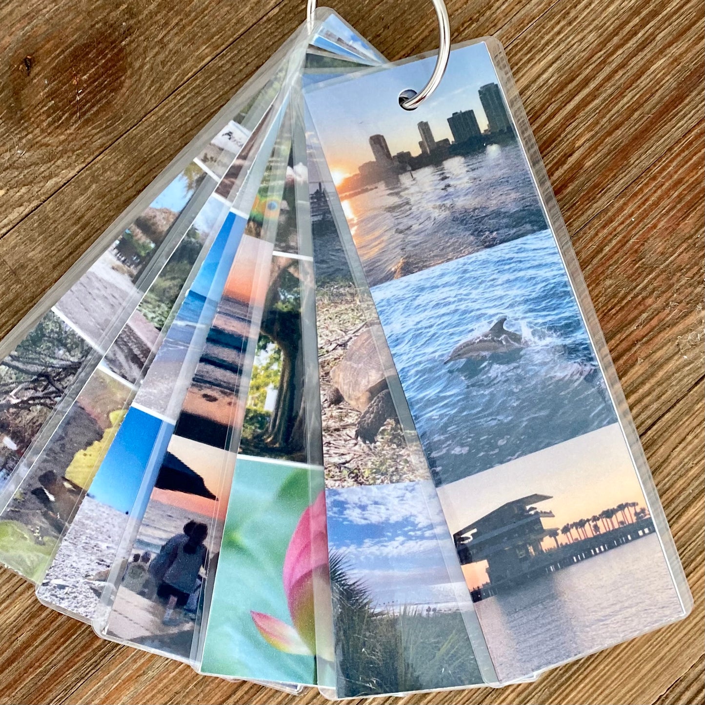 Ring of Things - St Petersburg Florida Day Trip Ideas in a Ring of Bookmarks