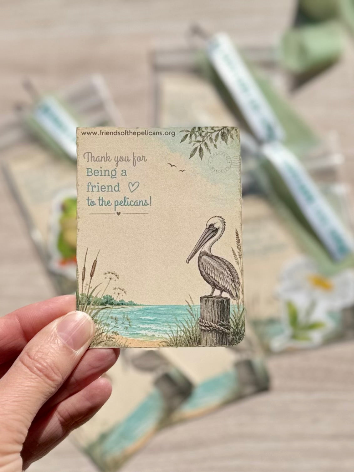 Coastal pocket card for Friends of the Pelicans