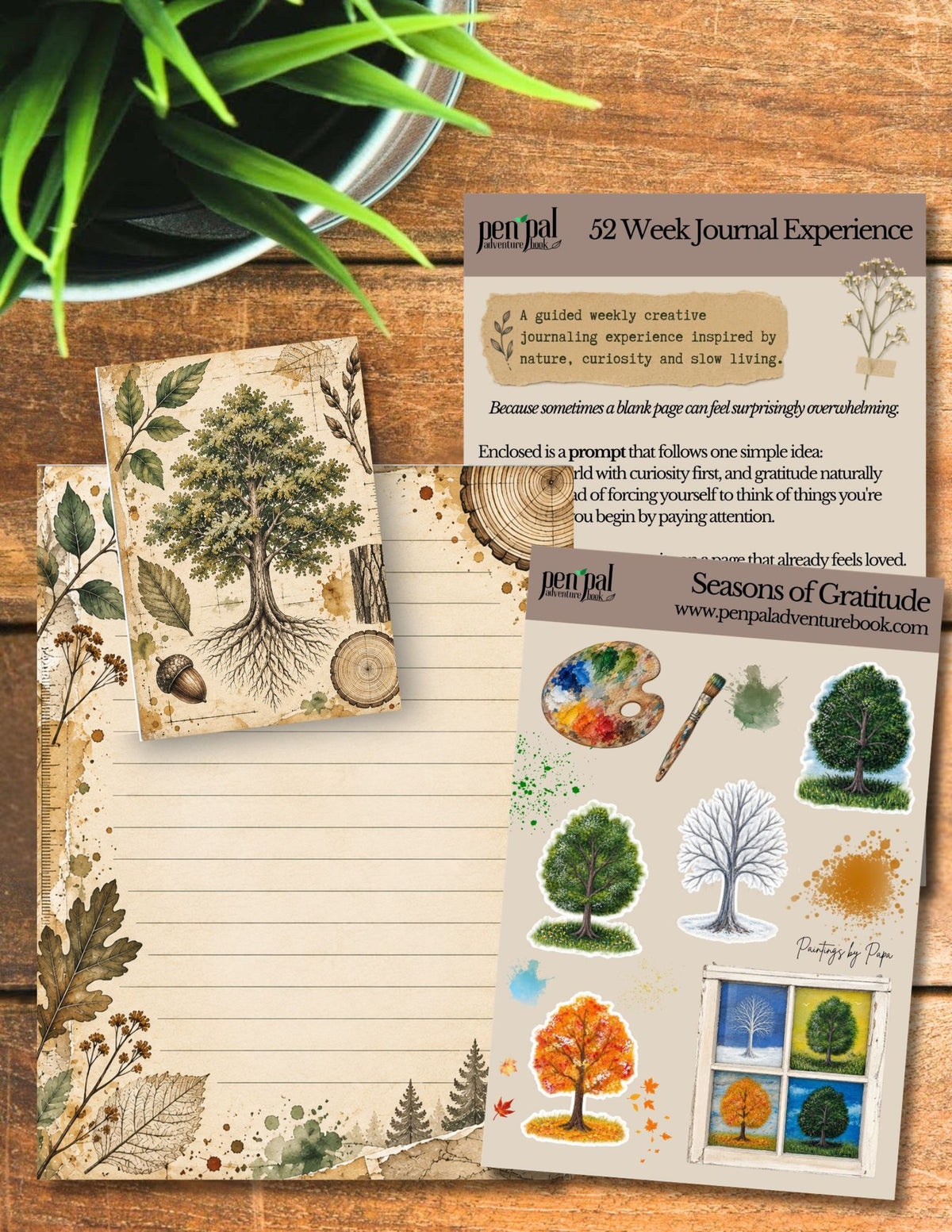 Week 6 of the 52 Week Journal Experience | Gratitude Journaling | Seasons of Gratitude