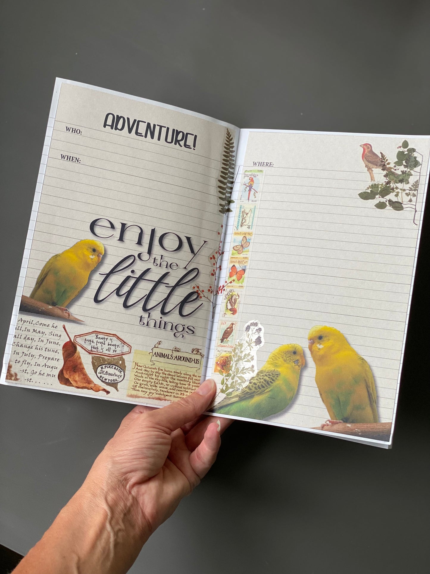 Instant Download-Enjoy the Little Birdie Things Journal Layout-Pen Pal Adventure Book Coordinating Printables