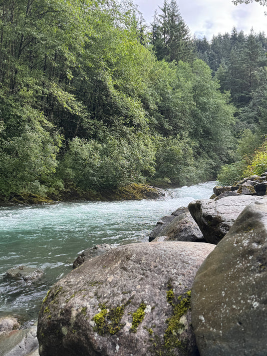 One Day in Juneau, Alaska: Hiking, Glacier Water & Knowing When to Turn Around