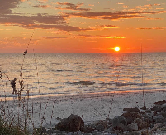 Peacocks in Paradise and a Sunset Ritual You Can't Miss in St. Petersburg Florida