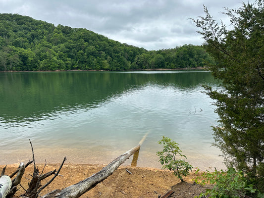 Exploring the Enchanting Big Ridge State Park in Maynardville, Tennessee and Gastronomic Bliss at Wild Boar Tavern