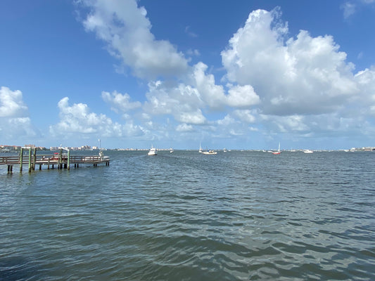 Exploring the Beauty of Gulfport, Florida: A Skyway Trail Bike Ride with a Serene Clam Bayou Nature Preserve Visit
