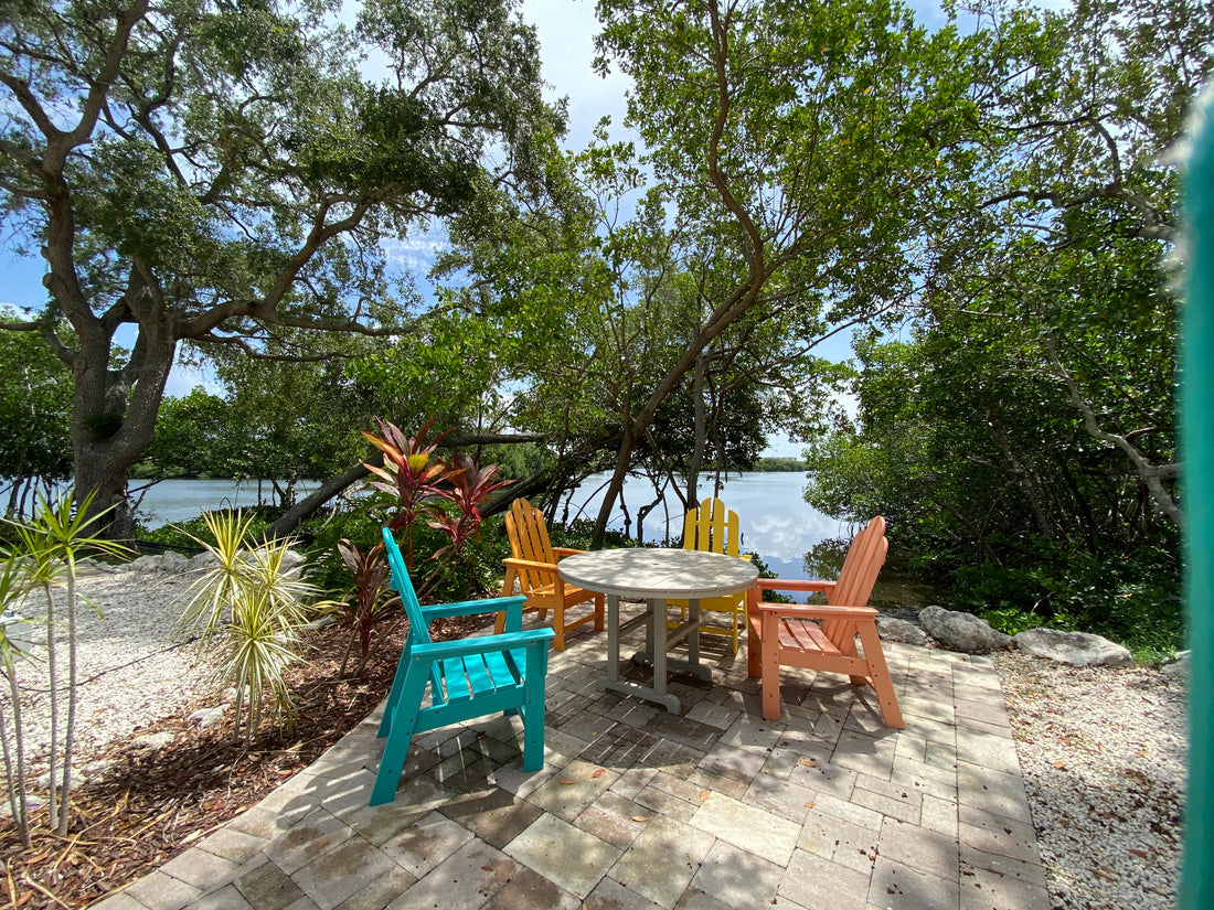 Unveiling the Ultimate Outdoor Oasis in St. Petersburg, Florida at KOA St. Petersburg