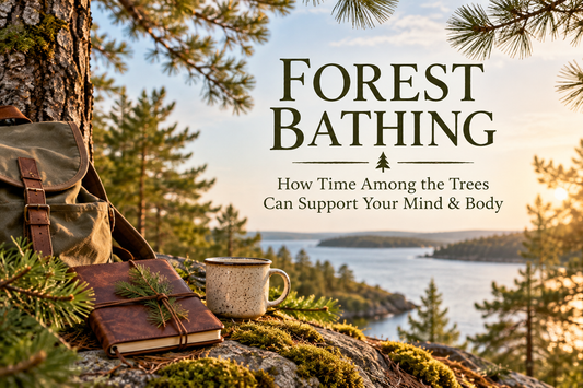 Forest Bathing Blog Cover with Journal Tree Lake Coffee Cup