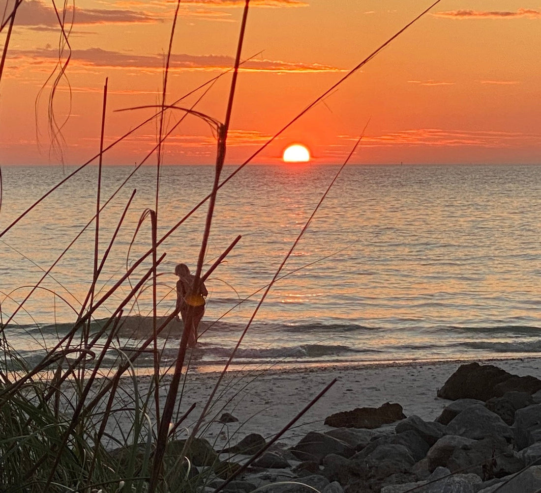 Peacocks in Paradise and a Sunset Ritual You Can't Miss in St. Petersburg Florida