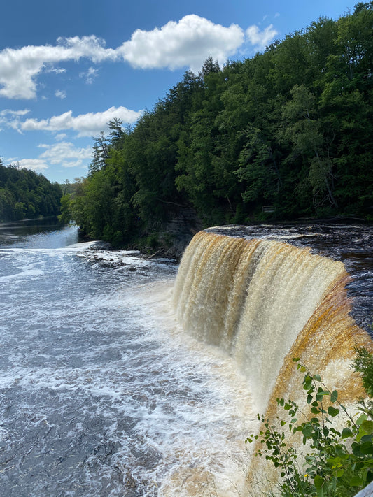 A Memorable Day Trip to Tahquamenon Falls, a Bear Ranch and a UP Pasty at a Pub