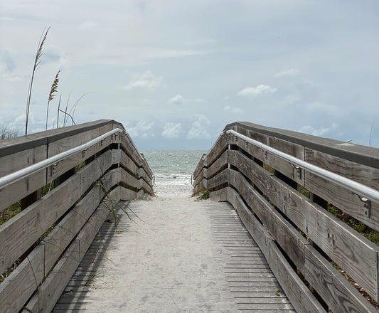 Sun and Sand at Indian Rocks Beach with a Stop at Seaside Seabird Sanctuary followed by Sweets and Sandwiches at Café de Paris Bakery