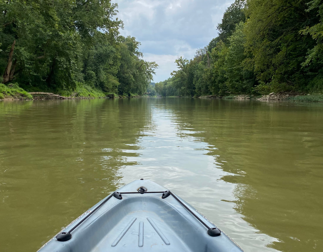 Exploring Natural Wonders: Kayaking Down the Green River in Hart County, Kentucky