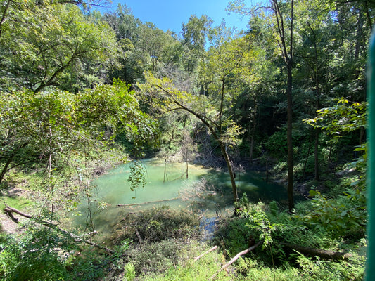 Explore a Teal Colored Sinkhole at Devil's Millhopper Geological State Park in Gainesville, Florida
