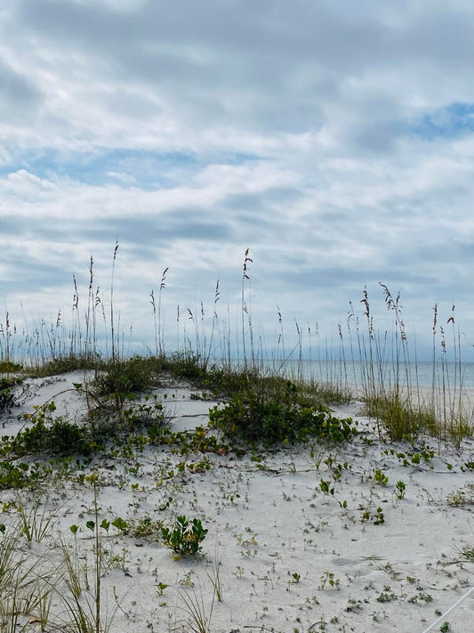 St Pete Beach-Pen Pal Book