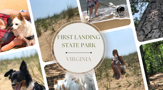 First Landing State Park Blog Post Cover Collage