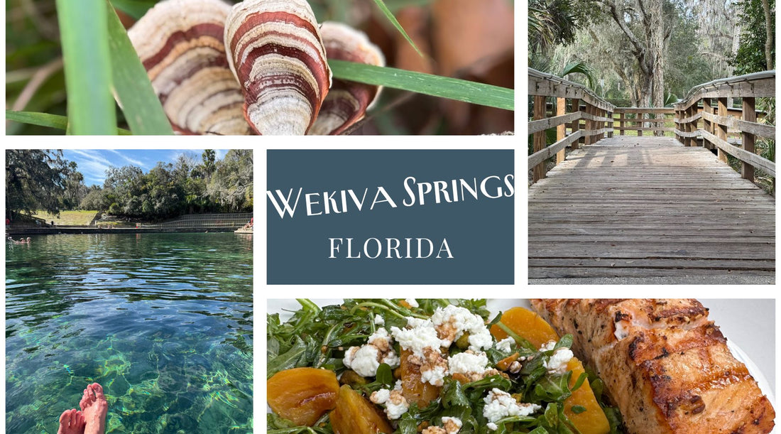 A Perfect Orlando Florida Day Trip for Those Craving more than Crowds and Concrete: Wekiwa Springs