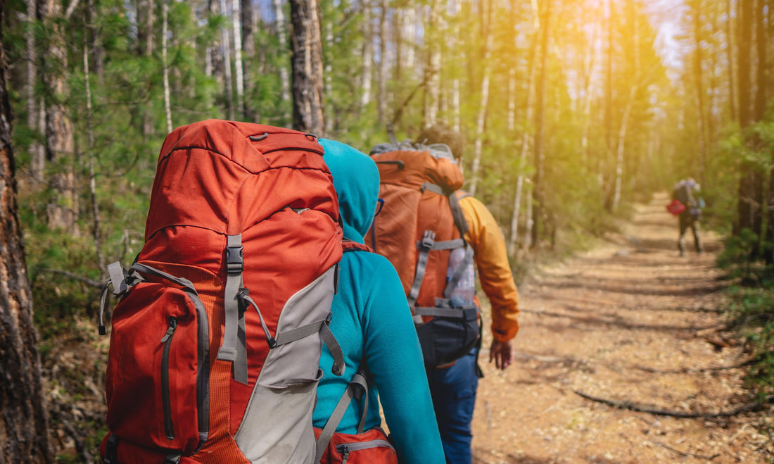Embrace Nature's Welcome: The Transformative Benefits of a First Day Hike Adventure