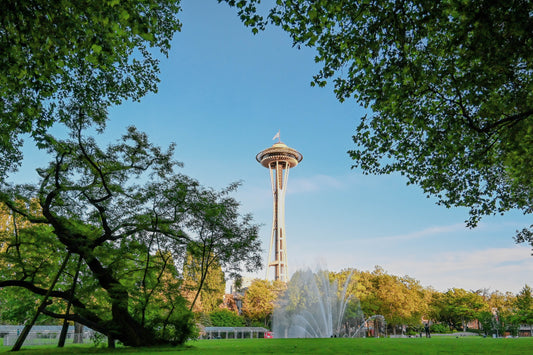If You Only Had One Day in Seattle and Wanted an Adventure to Remember...Would you do this?