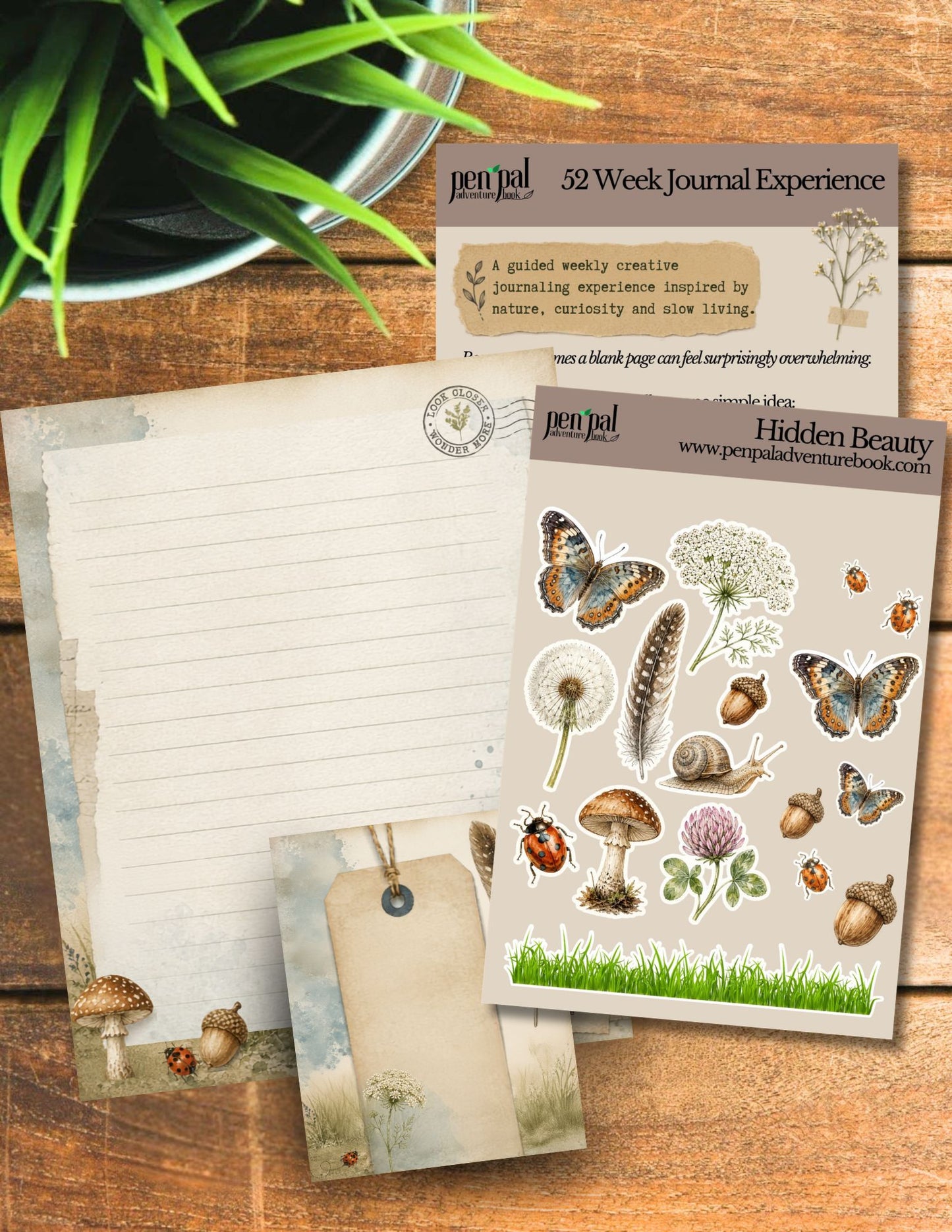 Week 2 of the 52 Week Journal Experience  | Notice & Appreciate | Week 2 of 52 • Hidden Beauty