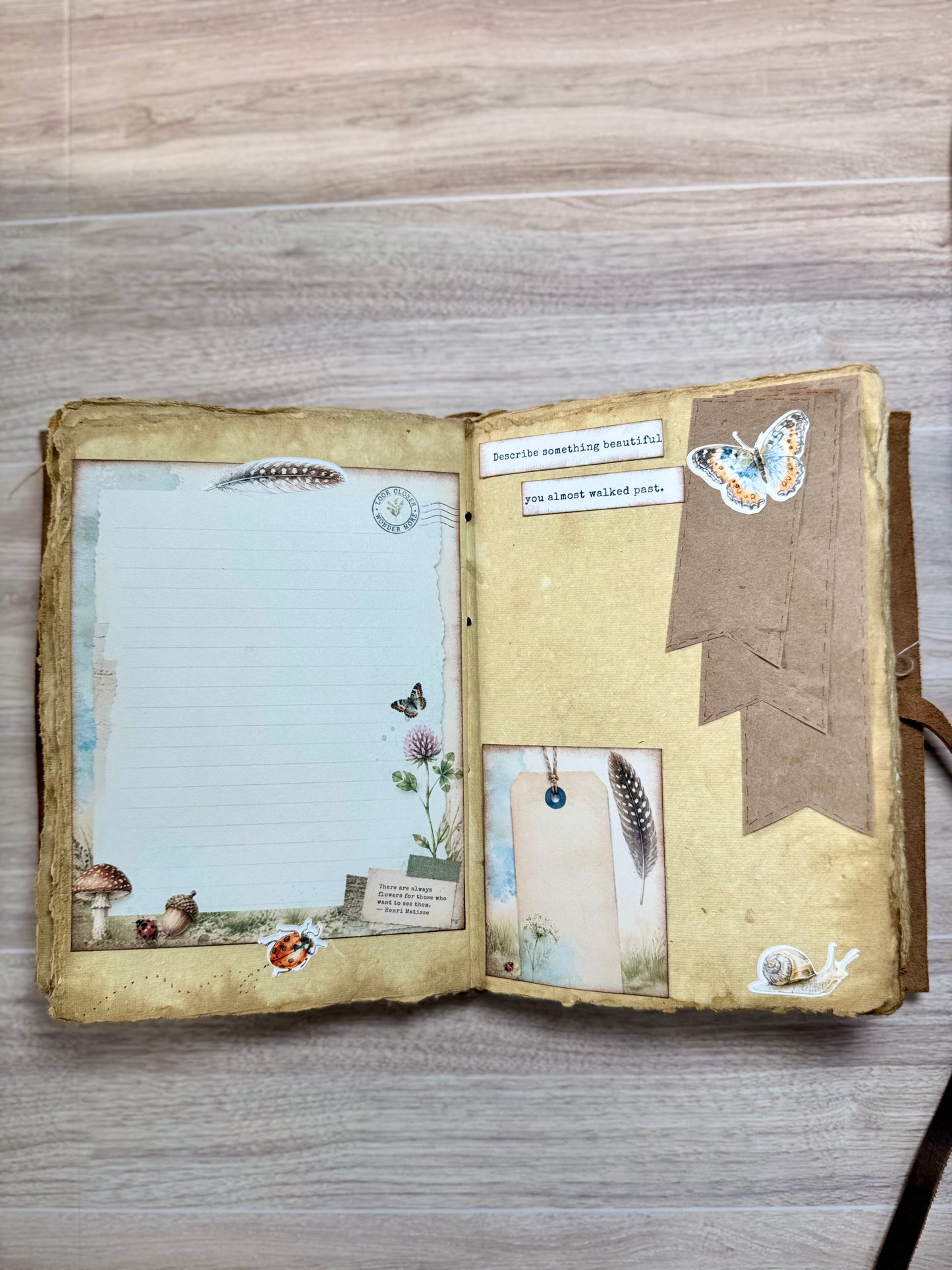 Week 2 of the 52 Week Journal Experience  | Notice & Appreciate | Week 2 of 52 • Hidden Beauty
