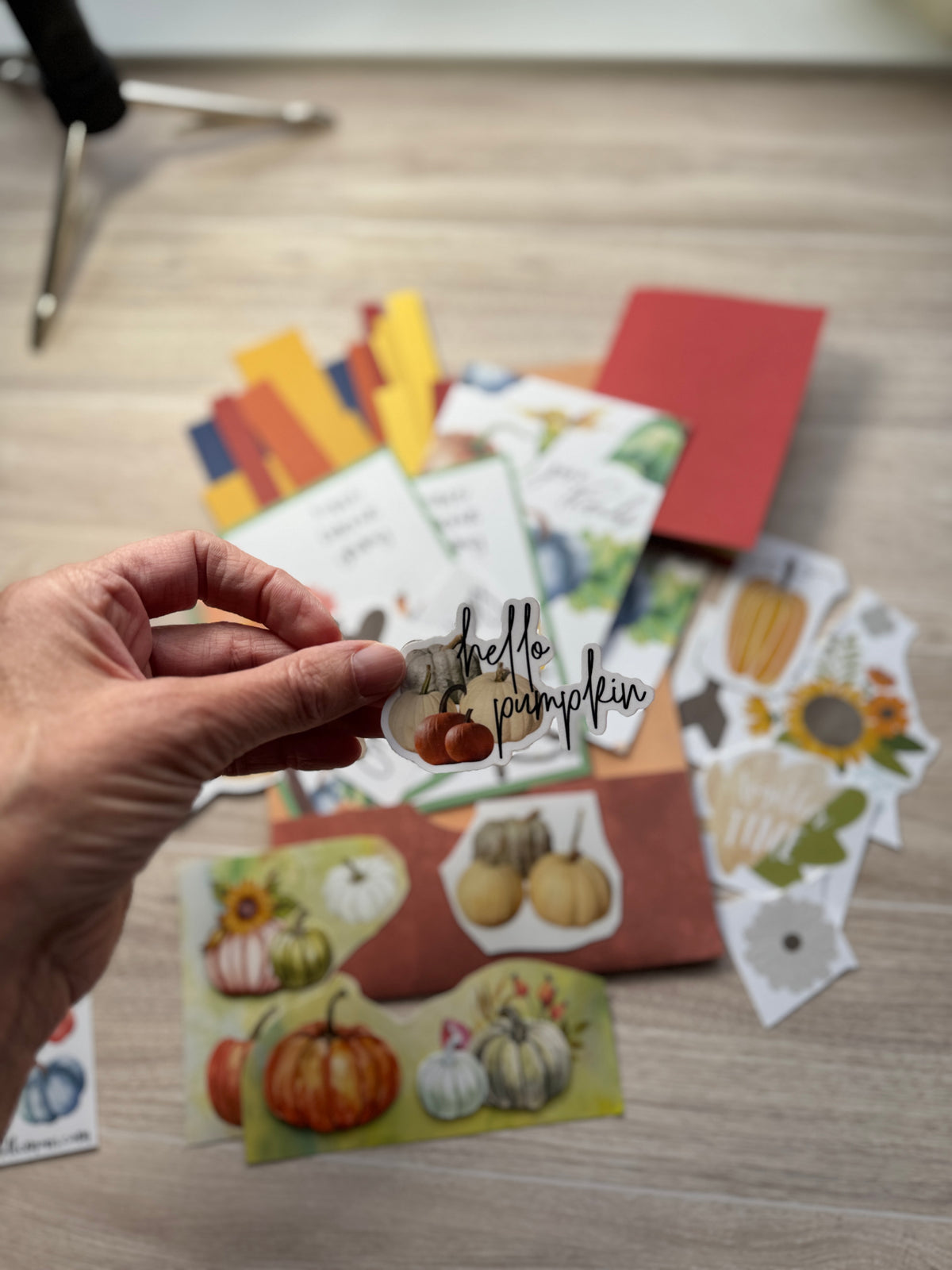 Handmade Folio Ephemera Set | Fall Themed Pumpkin Autumn Kit | Journal Supplies | P76