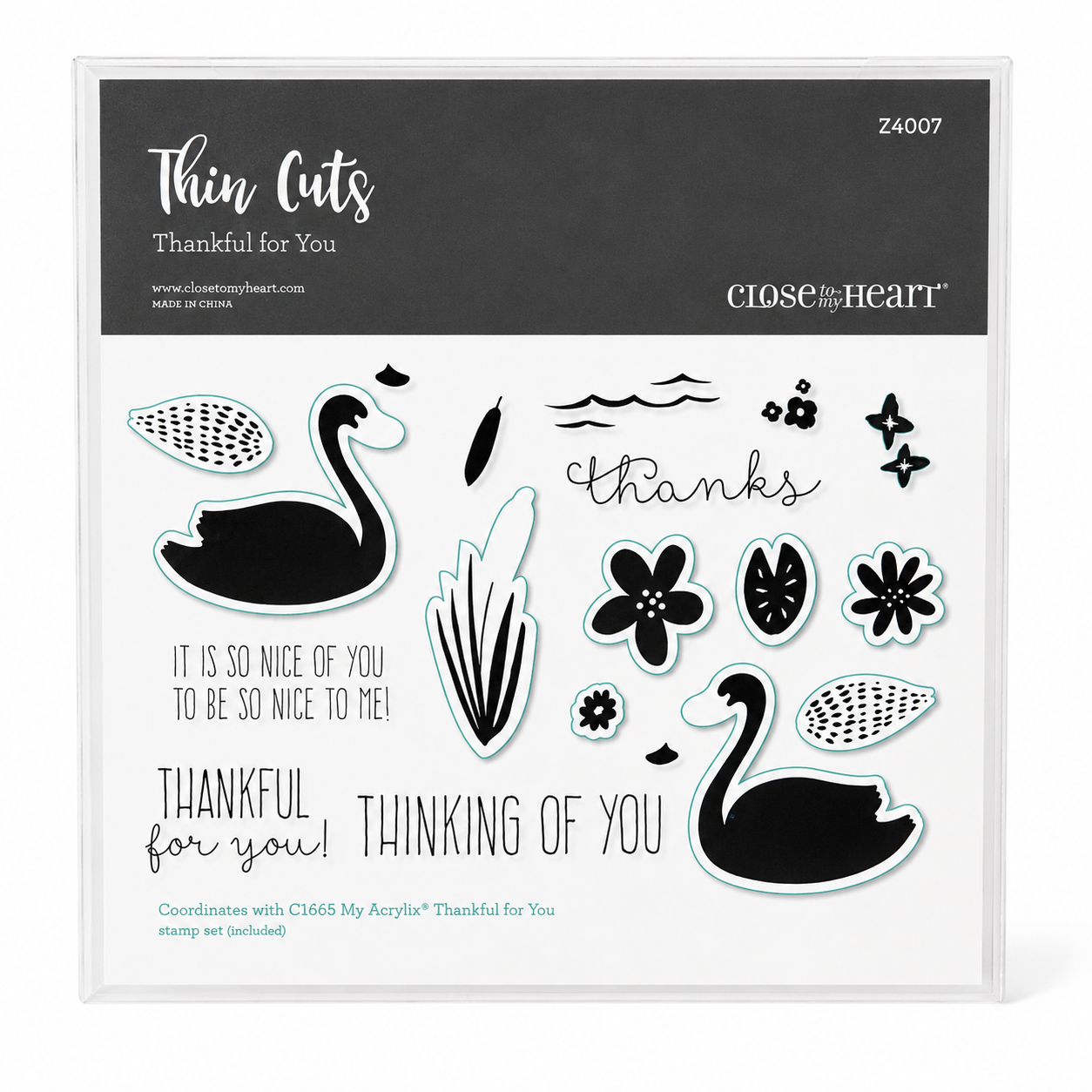 Retired CTMH Stamp & Thin Cut Set | Z4007 Thankful for You Stamp & Thin Cuts Close to my Heart | NEW