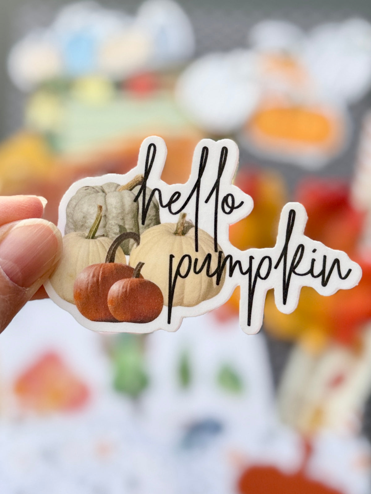 Handmade Folio Ephemera Set | Hello Pumpkin | Fall Themed Paper Journal Supplies | P72