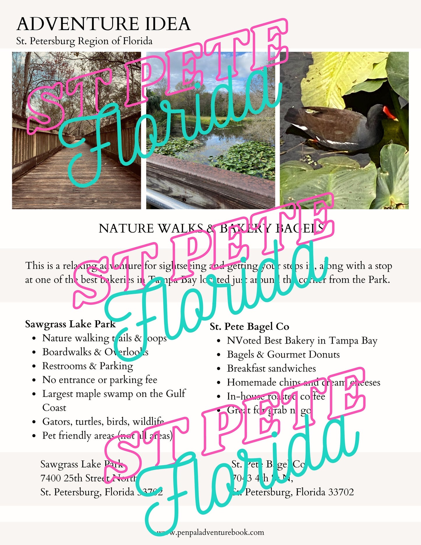 Daytrip-FLORIDA-St Pete-Sawgrass Lake and Bagels-Airbnb-VRBO-Digital Download