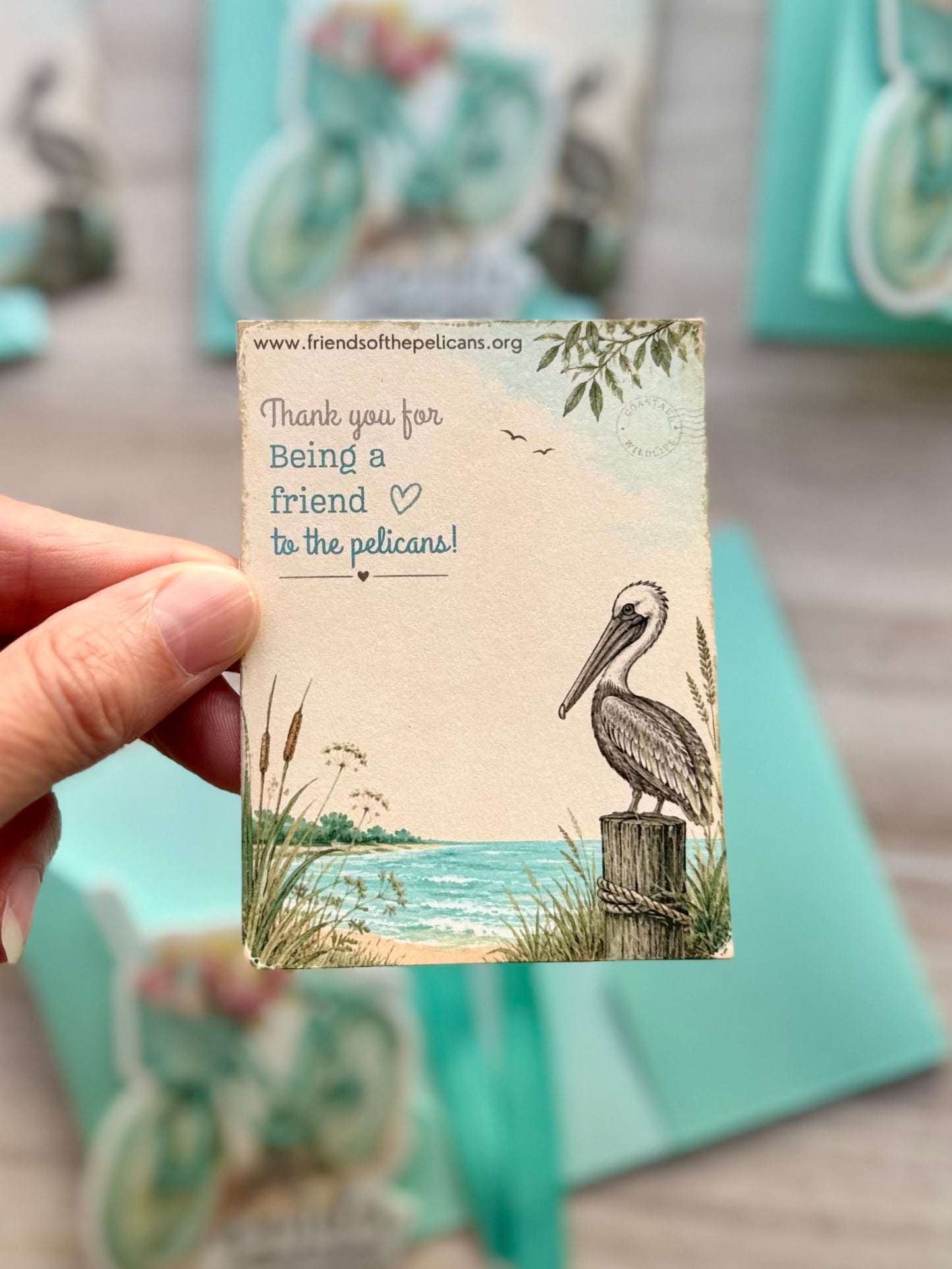 Sticker & Coastal Pelican Pocket Card | Nature-Inspired Stickers for a Cause | Vintage Bike Sticker