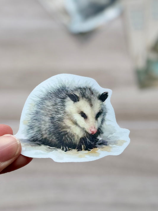 Opossum sticker