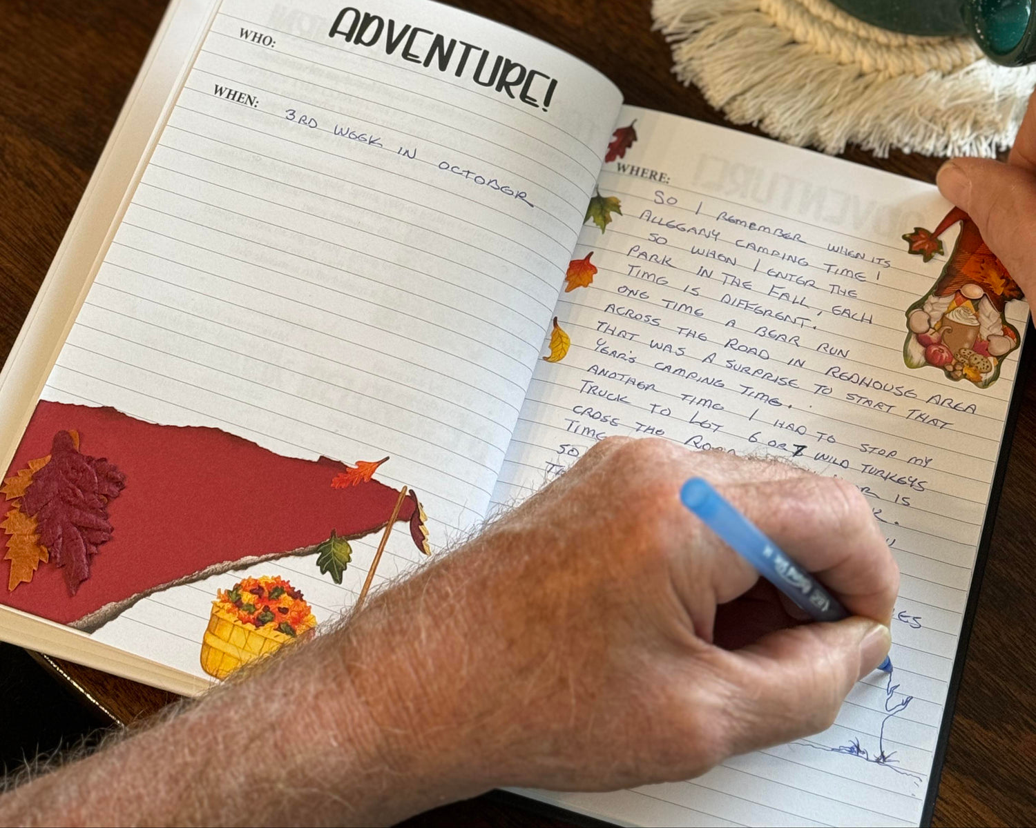 Writing in the Pen Pal Adventure Book with Tea