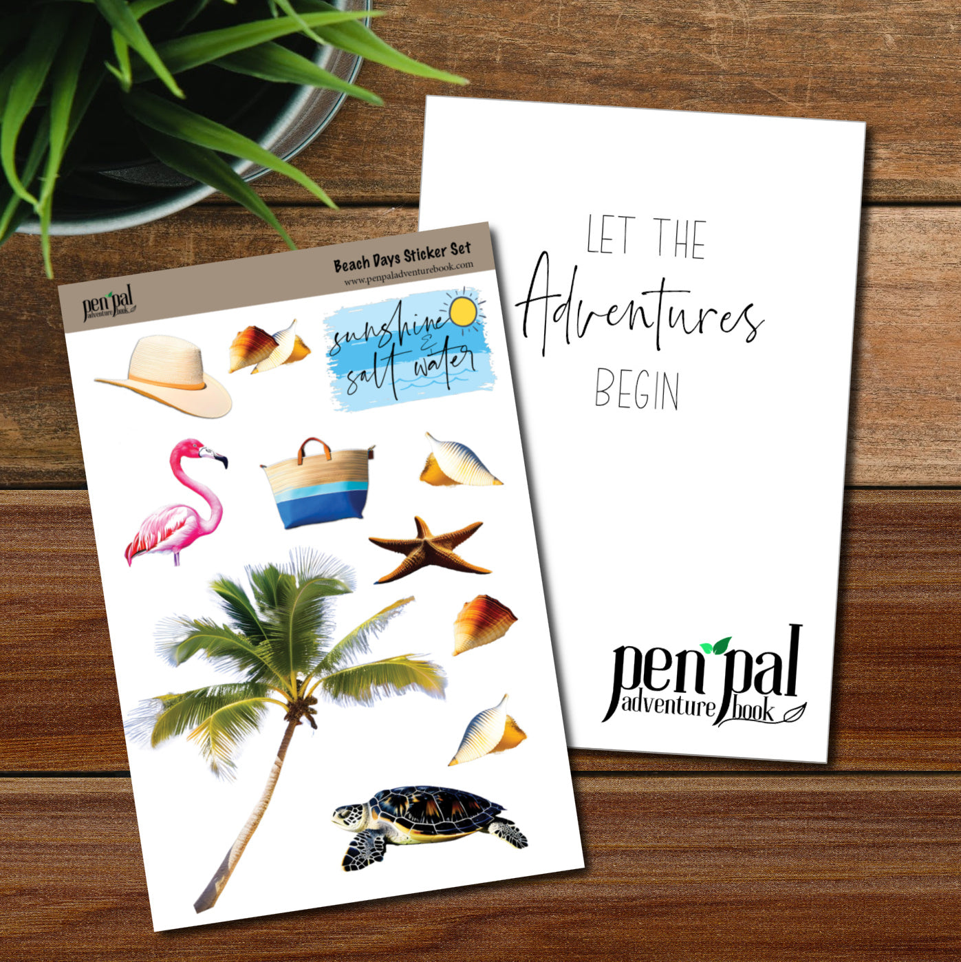 WHOLESALE-Pen Pal Adventure Book with Beach Days Sticker Set of 5 Kits
