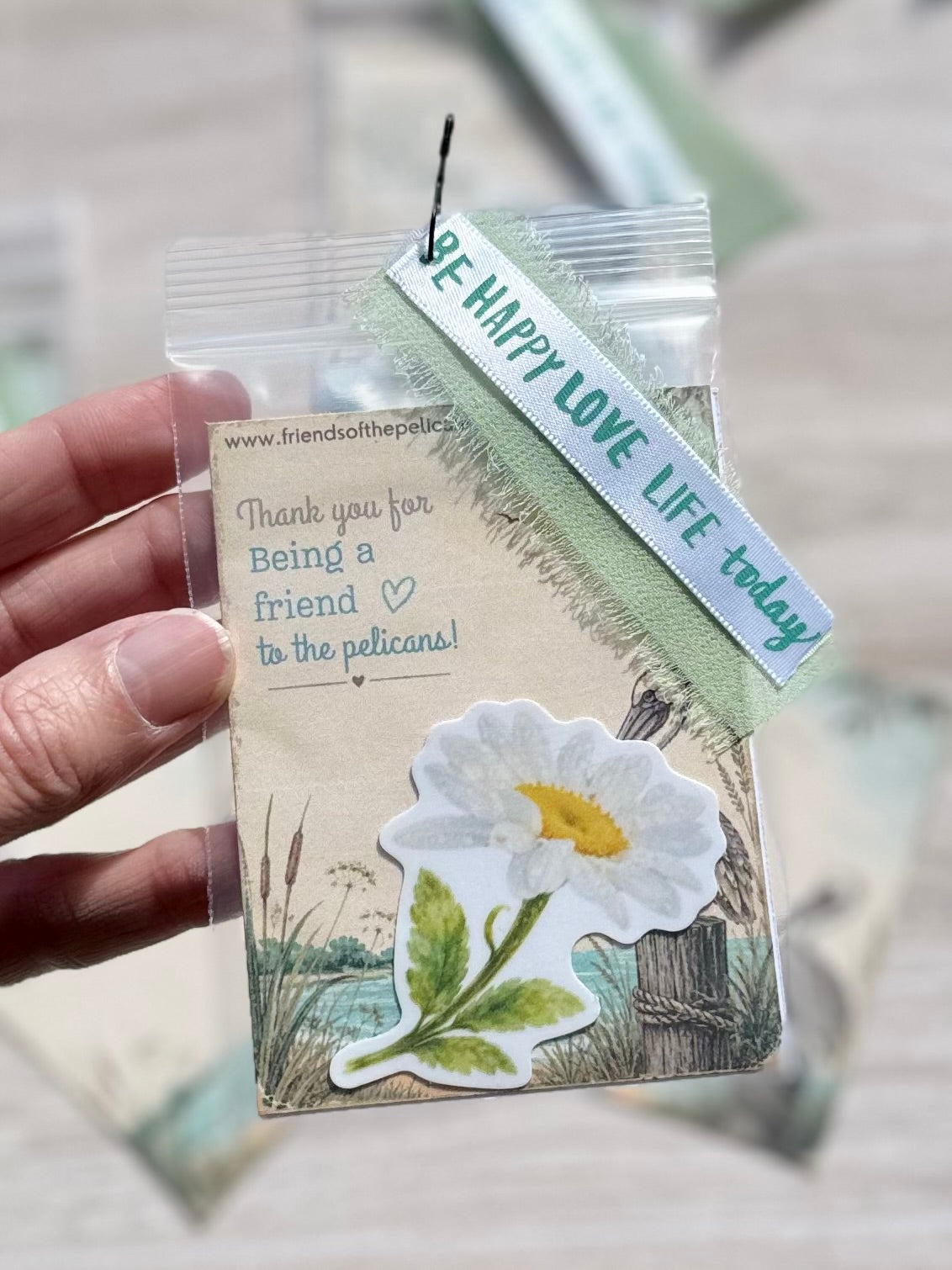 Daisy sticker in packaging with a coastal pelican pocket card and ribbon