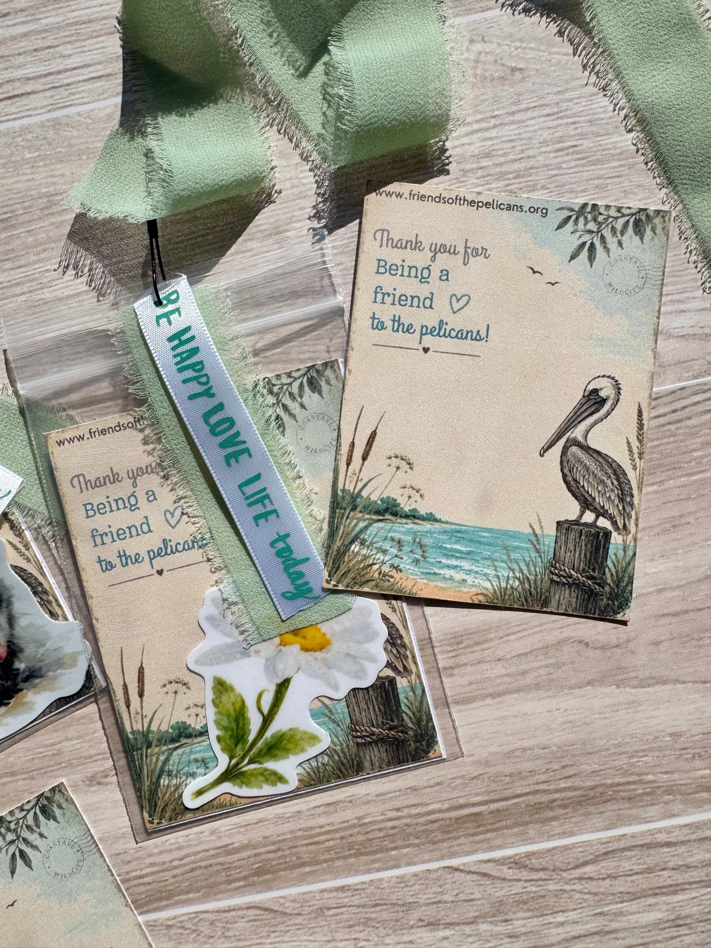 Pen Pal Adventure Book Daisy Sticker with Pelican pocket card and ribbon