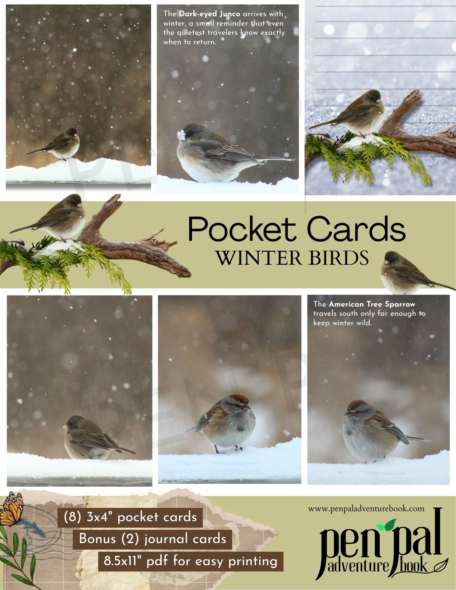 Collage of winter birds with promotional text for pocket cards and PDF download.