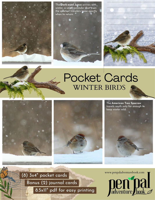 Collage of winter birds with promotional text for pocket cards and PDF download.