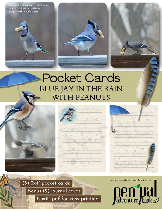 Collage of blue jay pocket cards with peanuts, featuring the brand 'Pen Pal Adventure Book'.