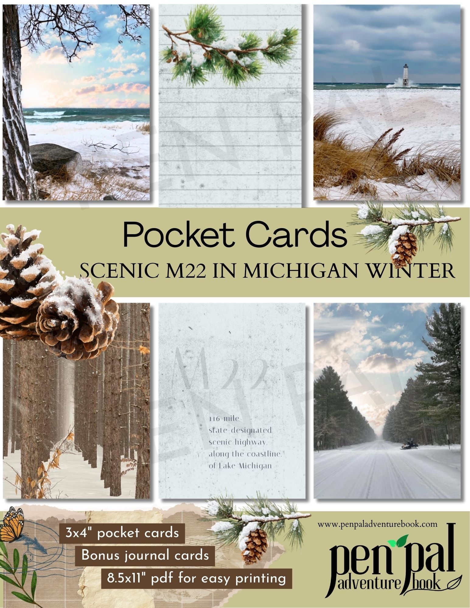 Collage of winter-themed pocket cards with scenic views of Michigan, featuring pinecones and snowy landscapes.