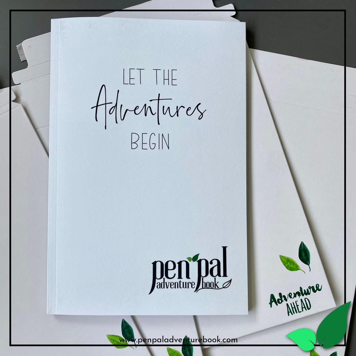 WHOLESALE-Pen Pal Adventure Book with KENTUCKY Sticker and Adventure Sticker Sheet -Set of 5