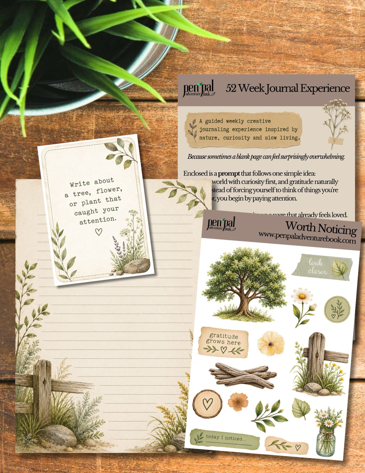 Week 5 of the 52 Week Journal Experience  | Gratitude Journaling | Worth Noticing