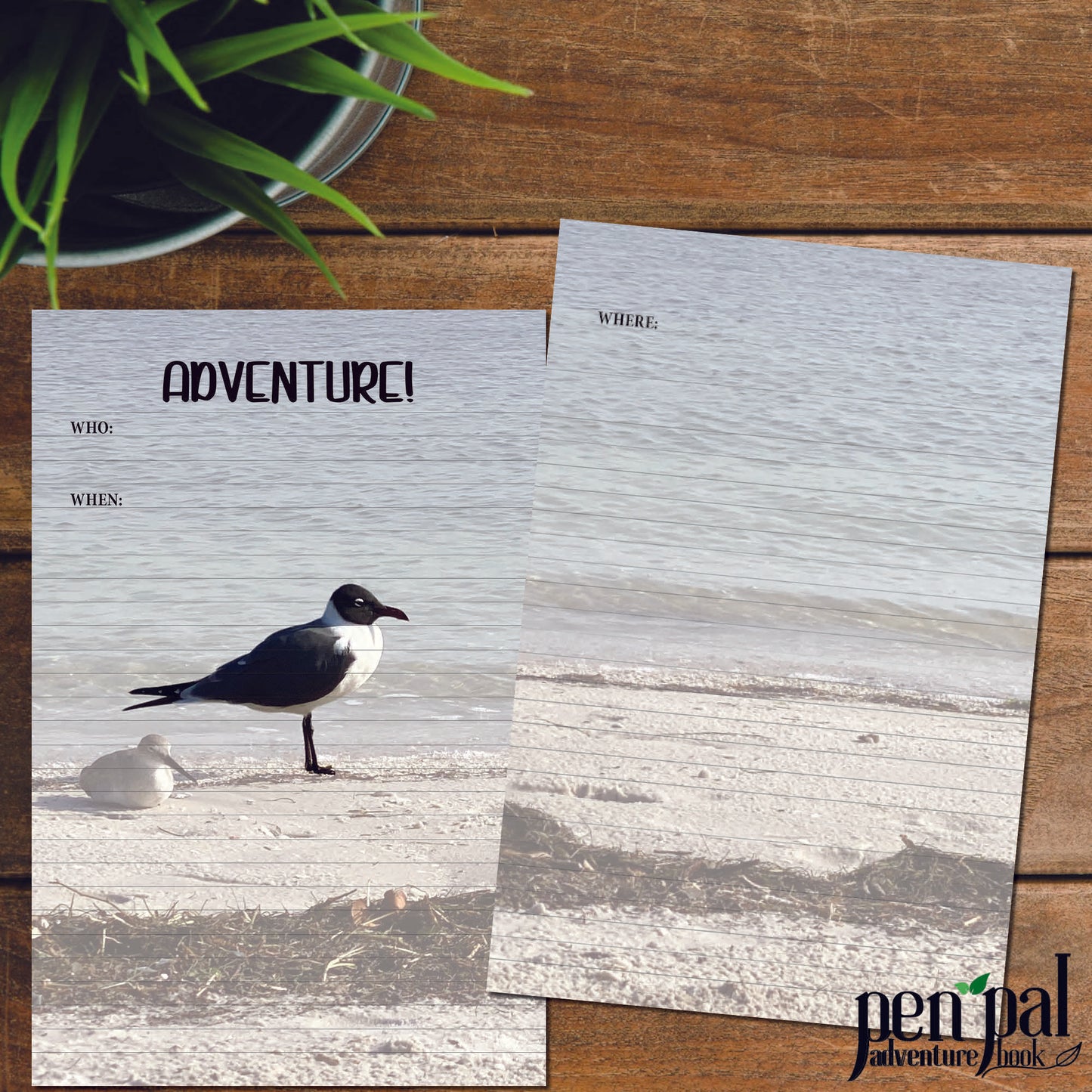 Digital Download-Seaside Birds Journal Layout-Pen Pal Adventure Book Coordinating Printables